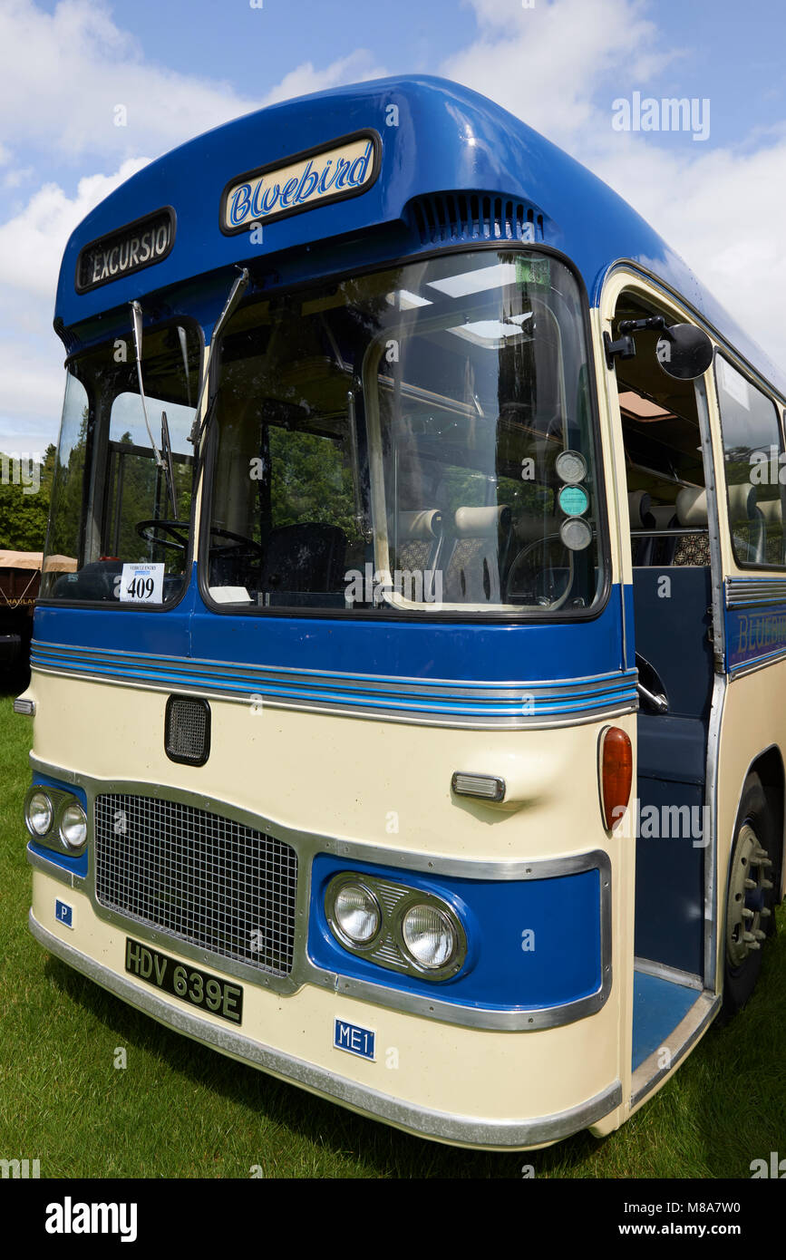 Cream and blue vintage bus hi-res stock photography and