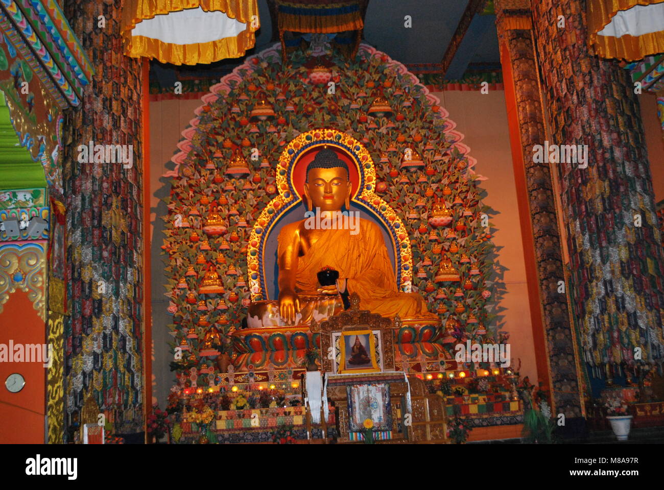Choling Buddha Statue in temple inside, Chokling Monastery Stock Photo - Alamy