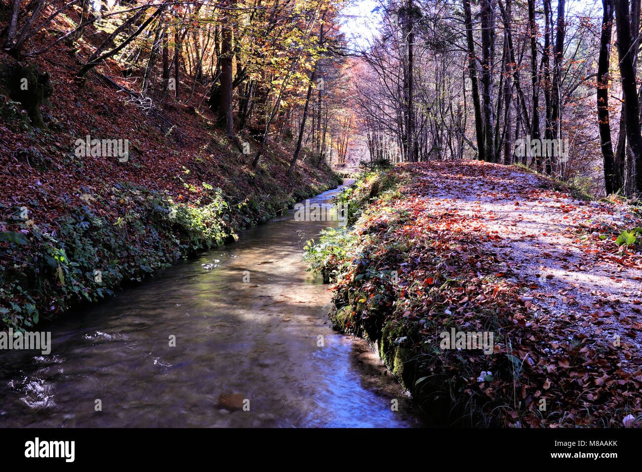 Water stream next hiking hi res stock photography and images Alamy