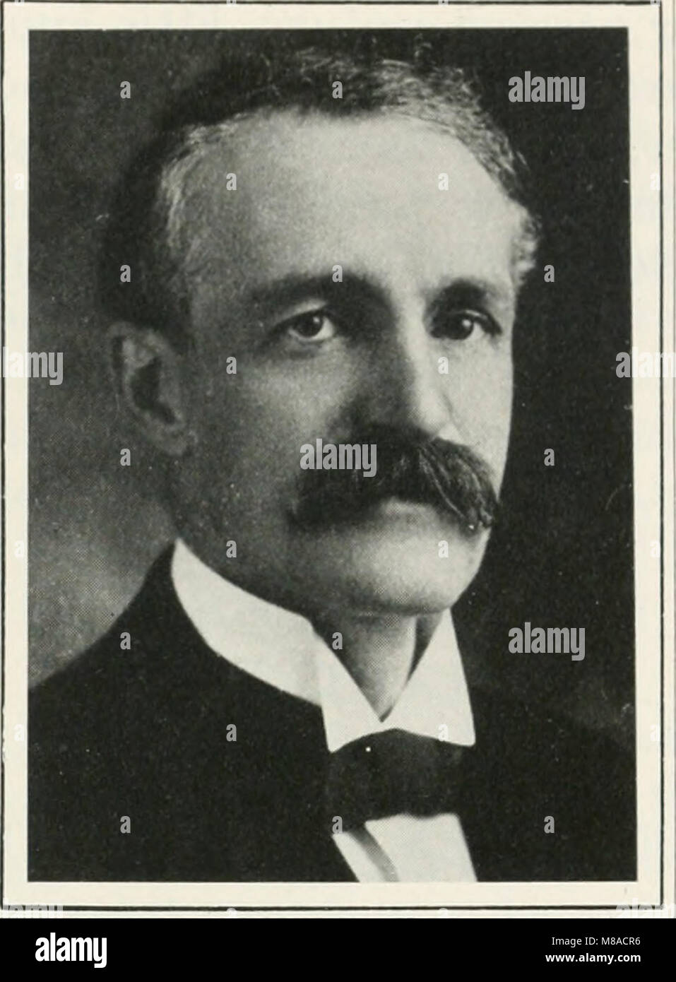 Gifford Pinchot portrait Stock Photo Alamy