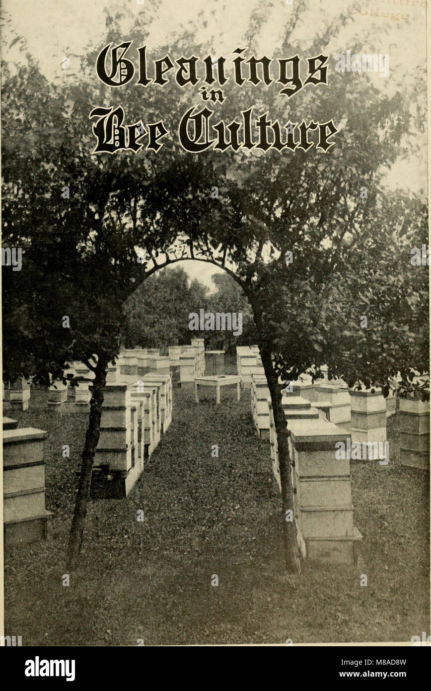 'Gleanings in Bee Culture' (1916) provides information on beekeeping practices, bee biology, and honey production, serving as a comprehensive guide for both beginners and experienced apiarists. Stock Photo