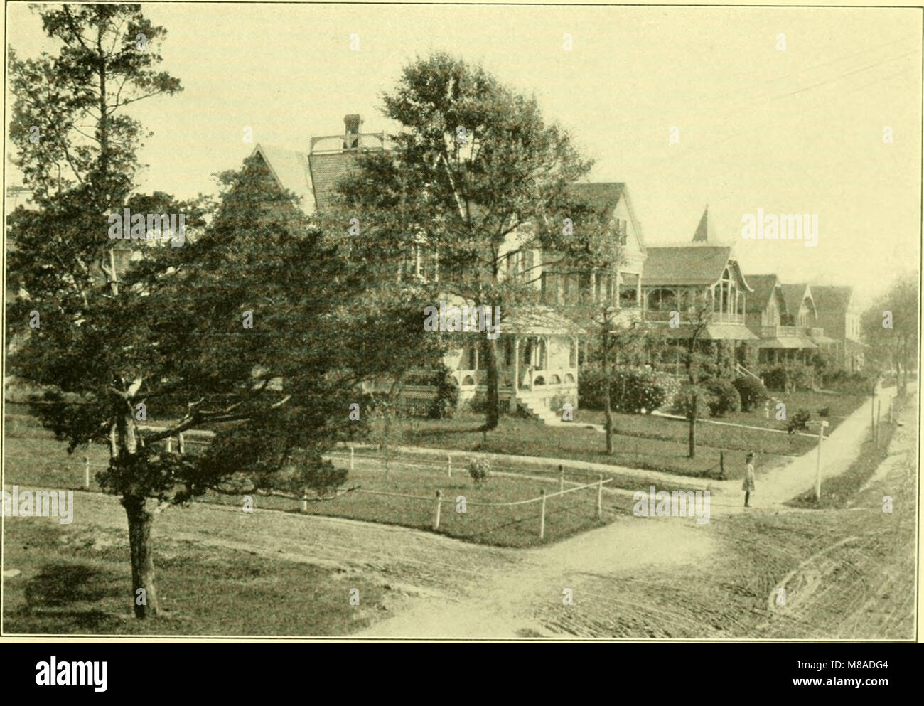 Glimpses of New Jersey coast resorts. A collection of choice photographic views of Asbury Park