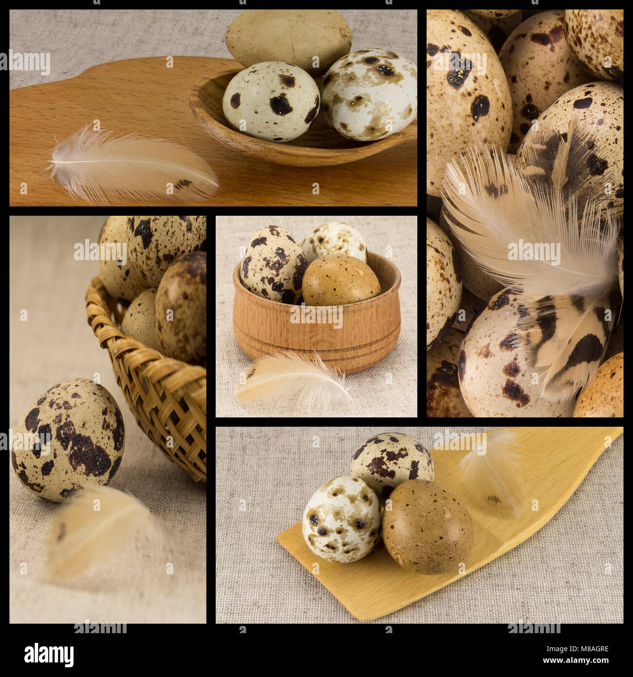 Collage of five pictures on a theme - Quail eggs Stock Photo