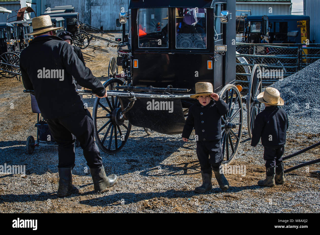 Old Major Animal Farm Hi-res Stock Photography And Images - Alamy