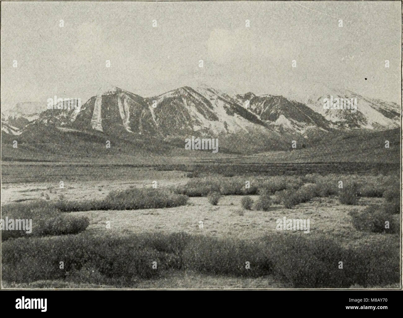 Haynes' guide to Yellowstone Park (1905) (14763595274 Stock Photo Alamy