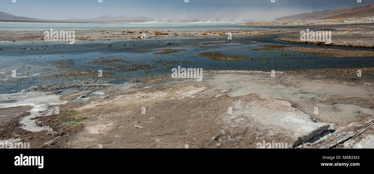 Laguna y Termas de Polques hot spring pool with Salar de Chalviri in