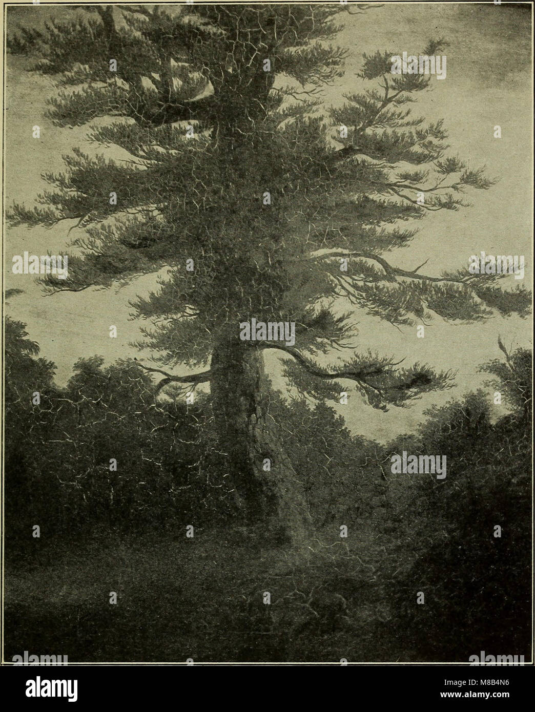 This 1907 exhibit at the Jamestown Exposition showcases the history of ...