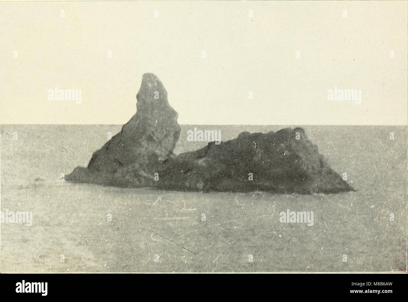 History and genealogy of the Stackpole family (1920) (14741043016 Stock ...