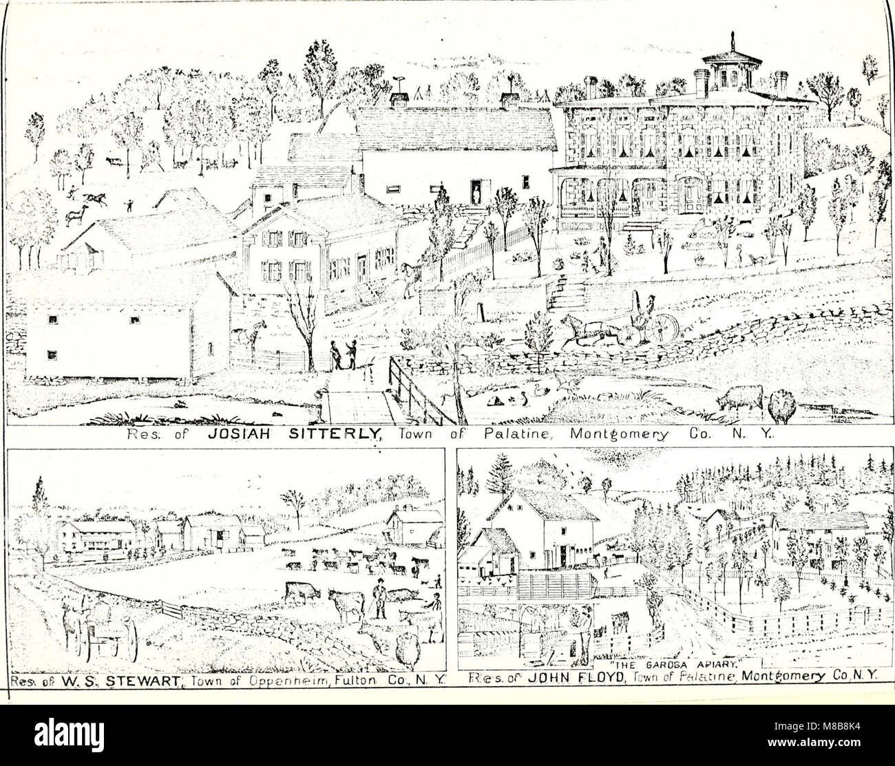 History of Montgomery and Fulton counties, N.Y. with illustrations