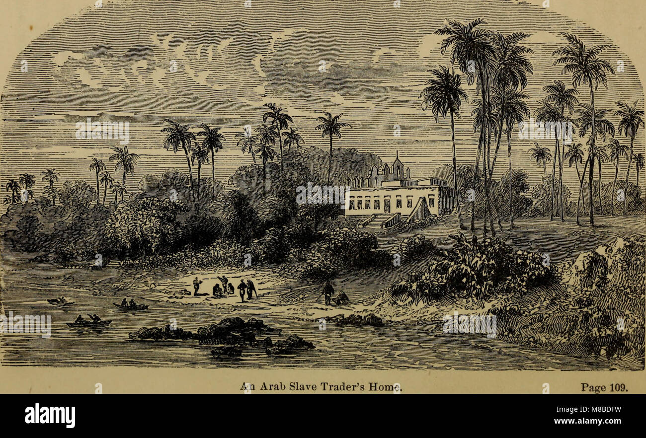 this-1882-biography-recounts-the-life-of-david-livingstone-a-scottish