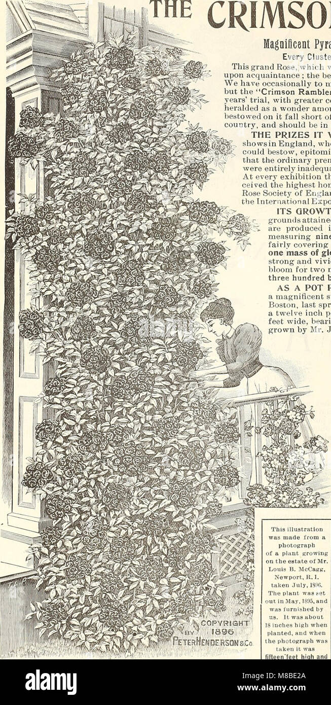 Dealers and florists wholesale list of plants (1897) (20843327565) Stock Photo