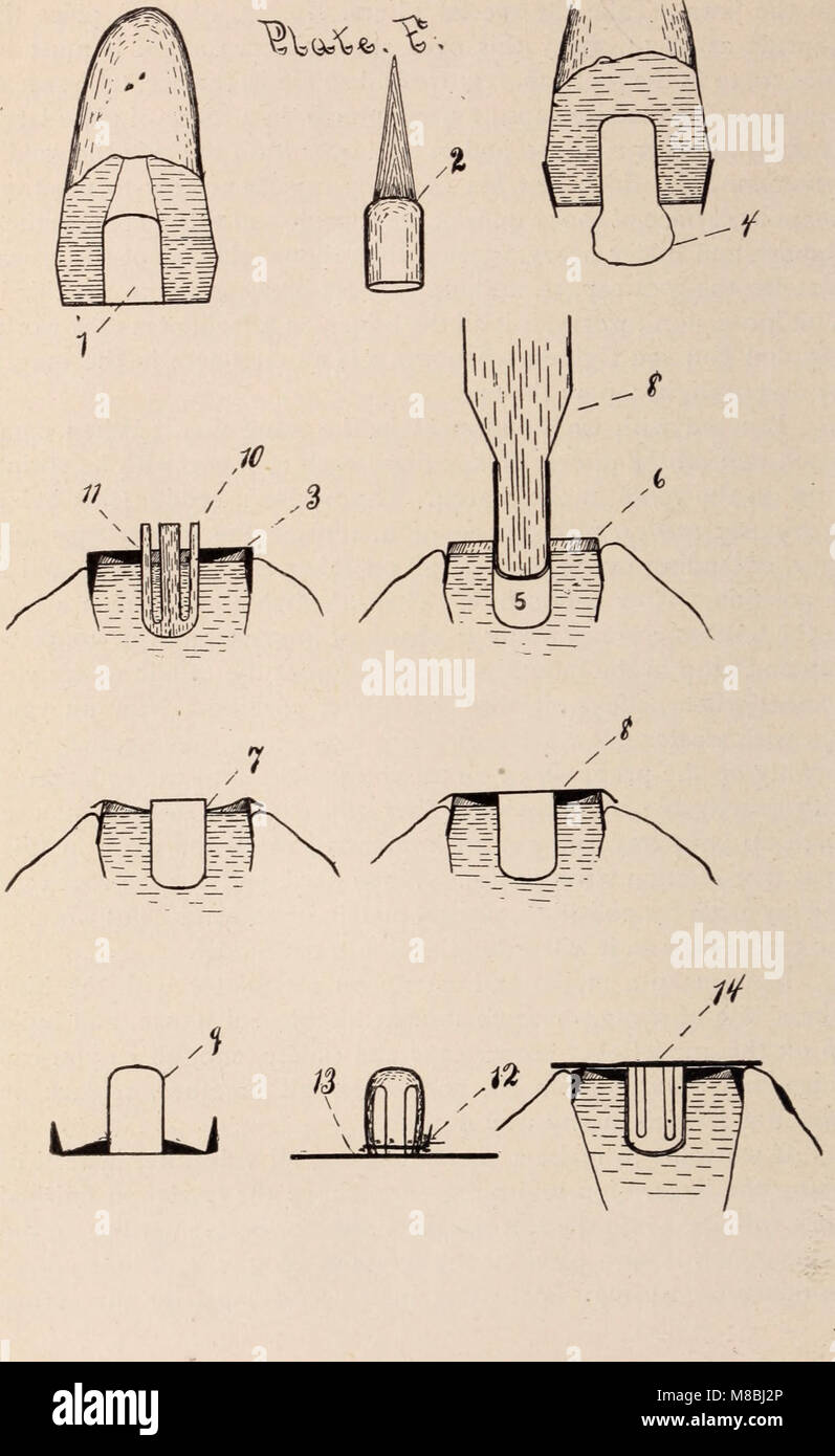 Dental review; devoted to the advancement of dentistry. (1901) (14759150116) Stock Photo