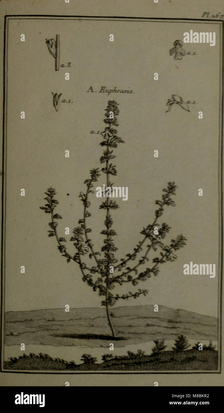 Scriptions Applications Alongside detailed descriptions hi-res stock photography and images - Alamy