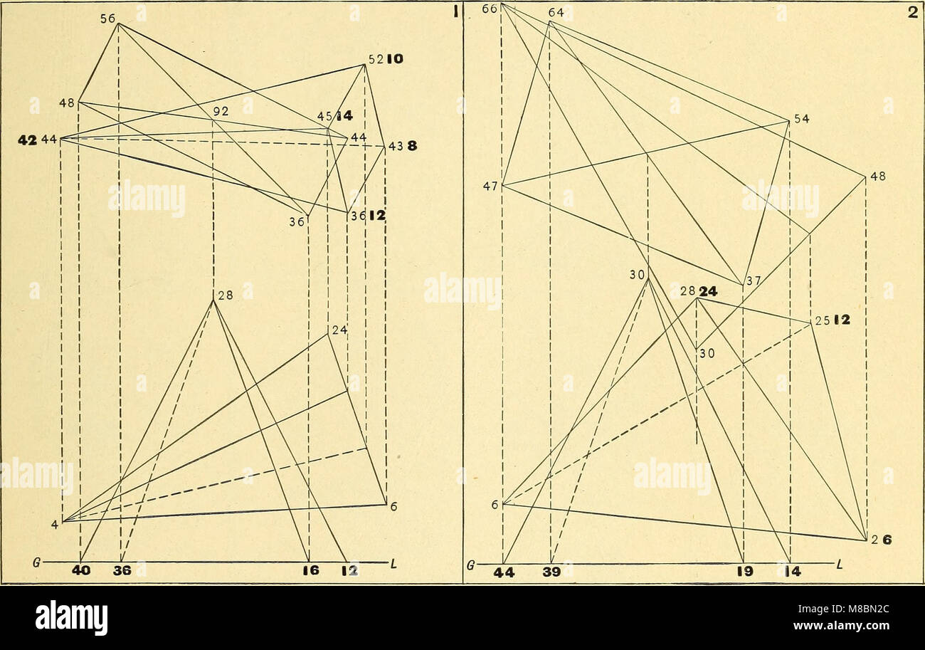 Descriptive geometry (1909) (14780193684) Stock Photo