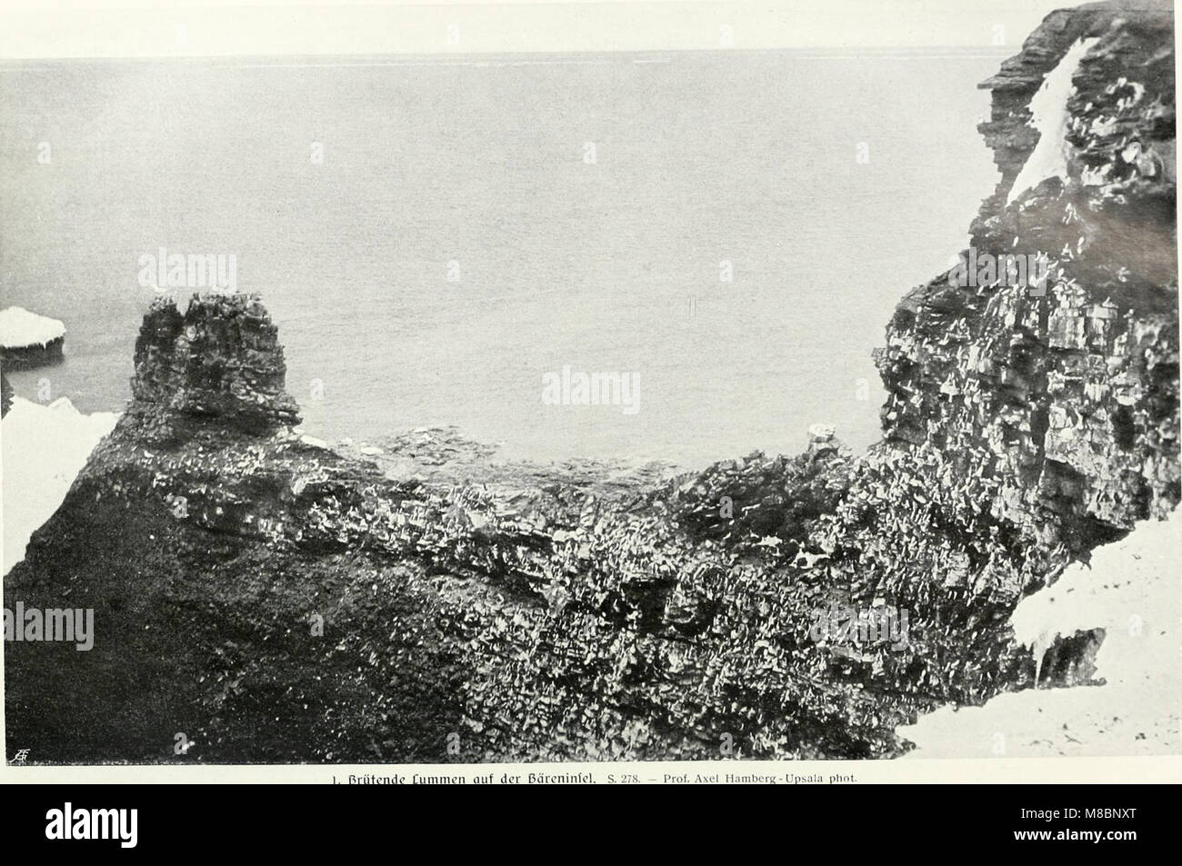 Die Vogel (1913) (14751715575 Stock Photo - Alamy