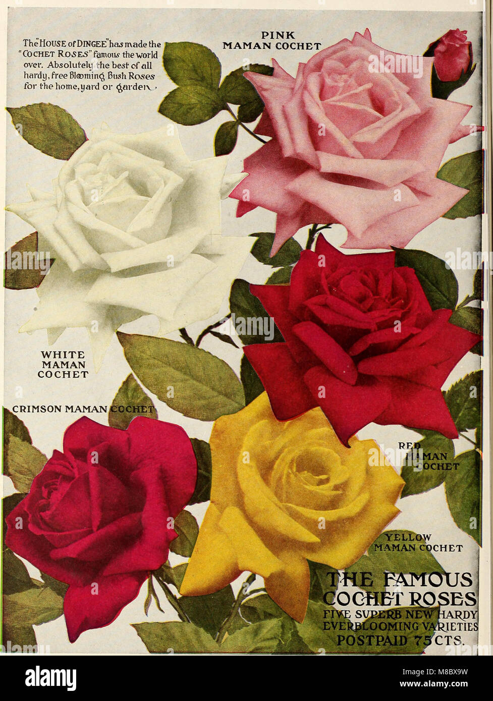 The 1918 Dingee Guide to Rose Culture is a well-established resource on ...