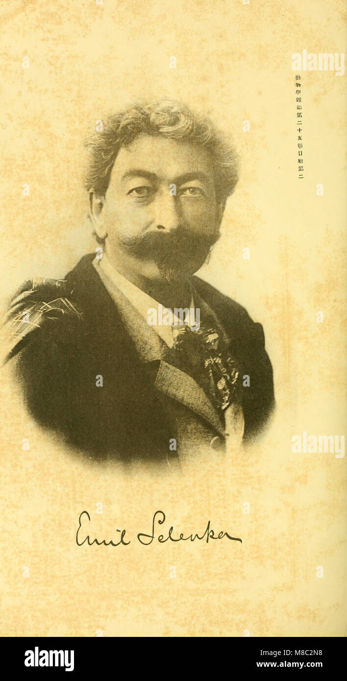 Dobutsugaku zasshi (1913) (20985382415) Stock Photo