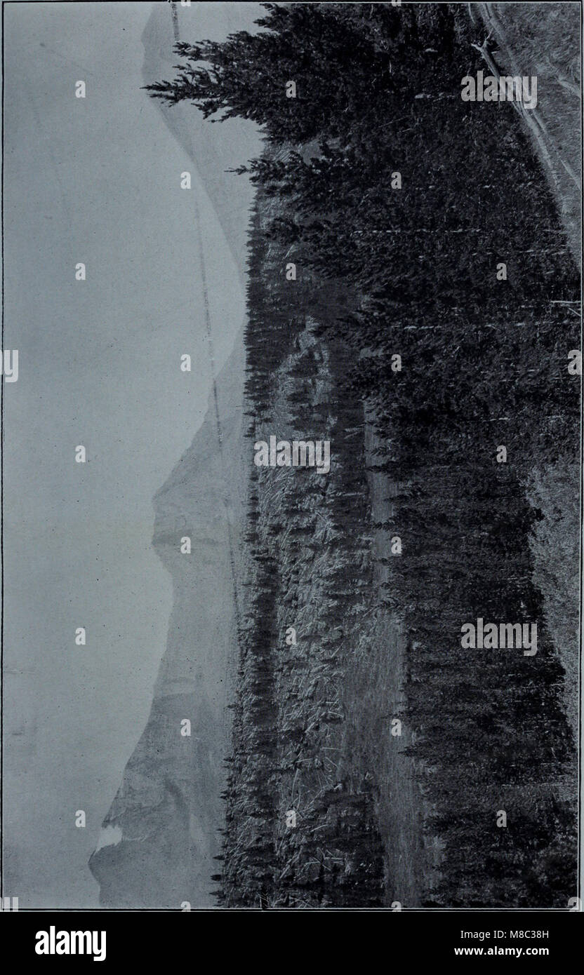 Documents de la session de la Puissance du Canada 1911, (Volume 45, no