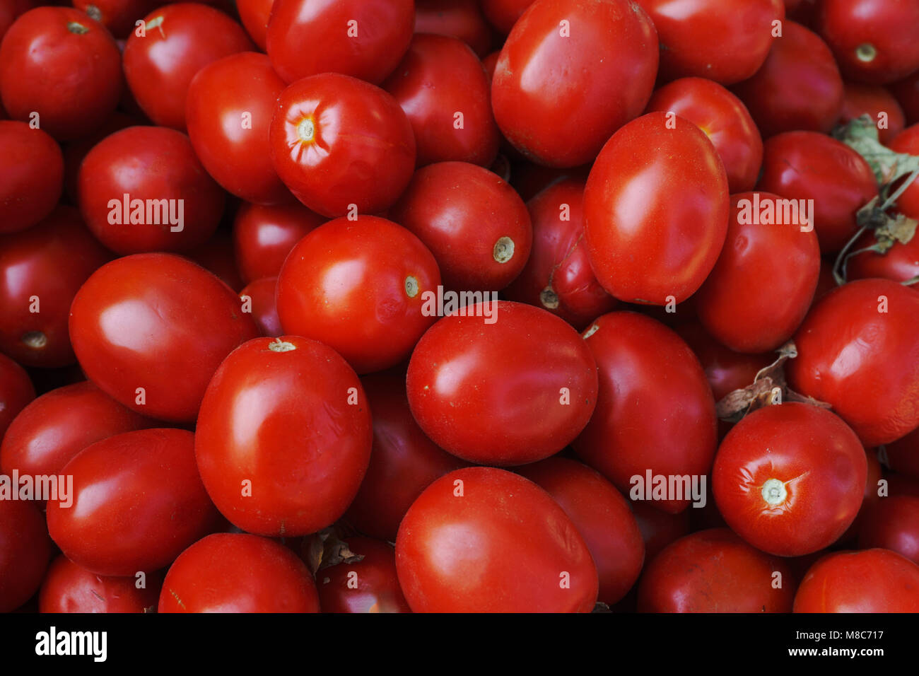 red tomatoes background. Group of tomatoes Stock Photo - Alamy