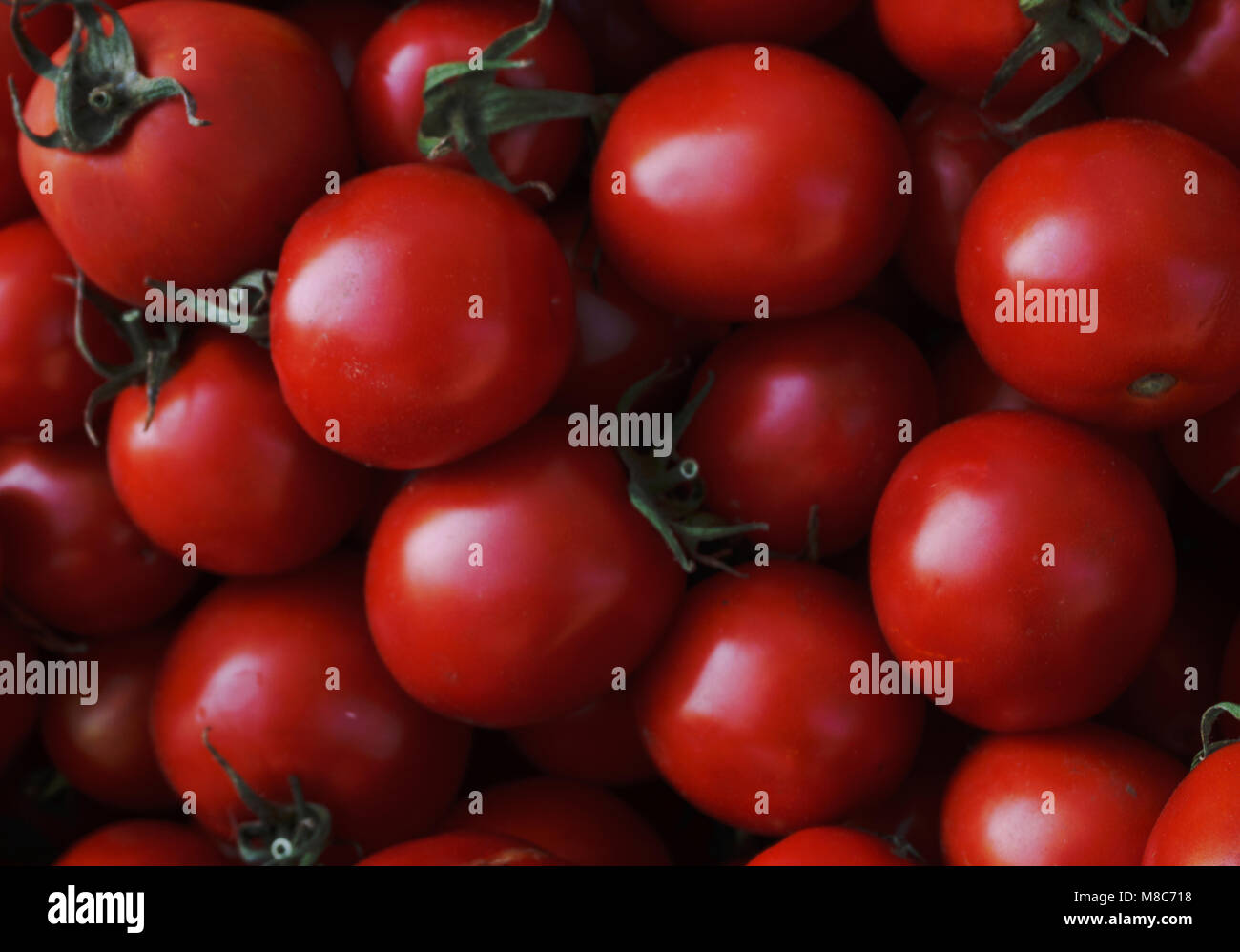 red tomatoes background. Group of tomatoes Stock Photo - Alamy