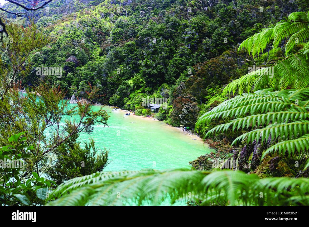 Abel Tasman National Park, South Island, New Zealand Stock Photo