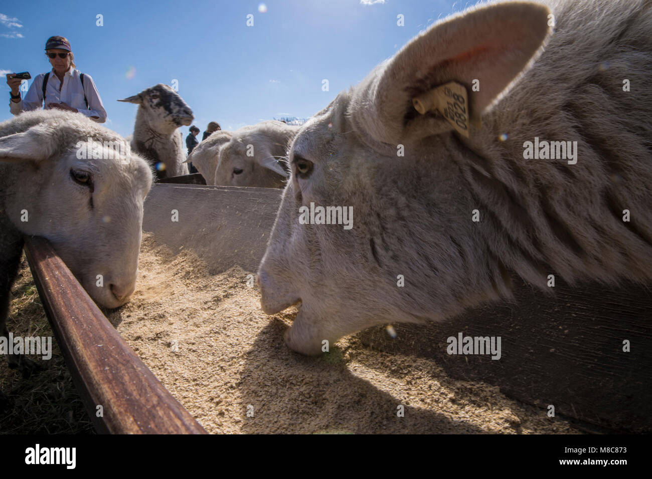 Chesapeake Bay Foundation Clagett Farm Manager Michael Heller, and ...