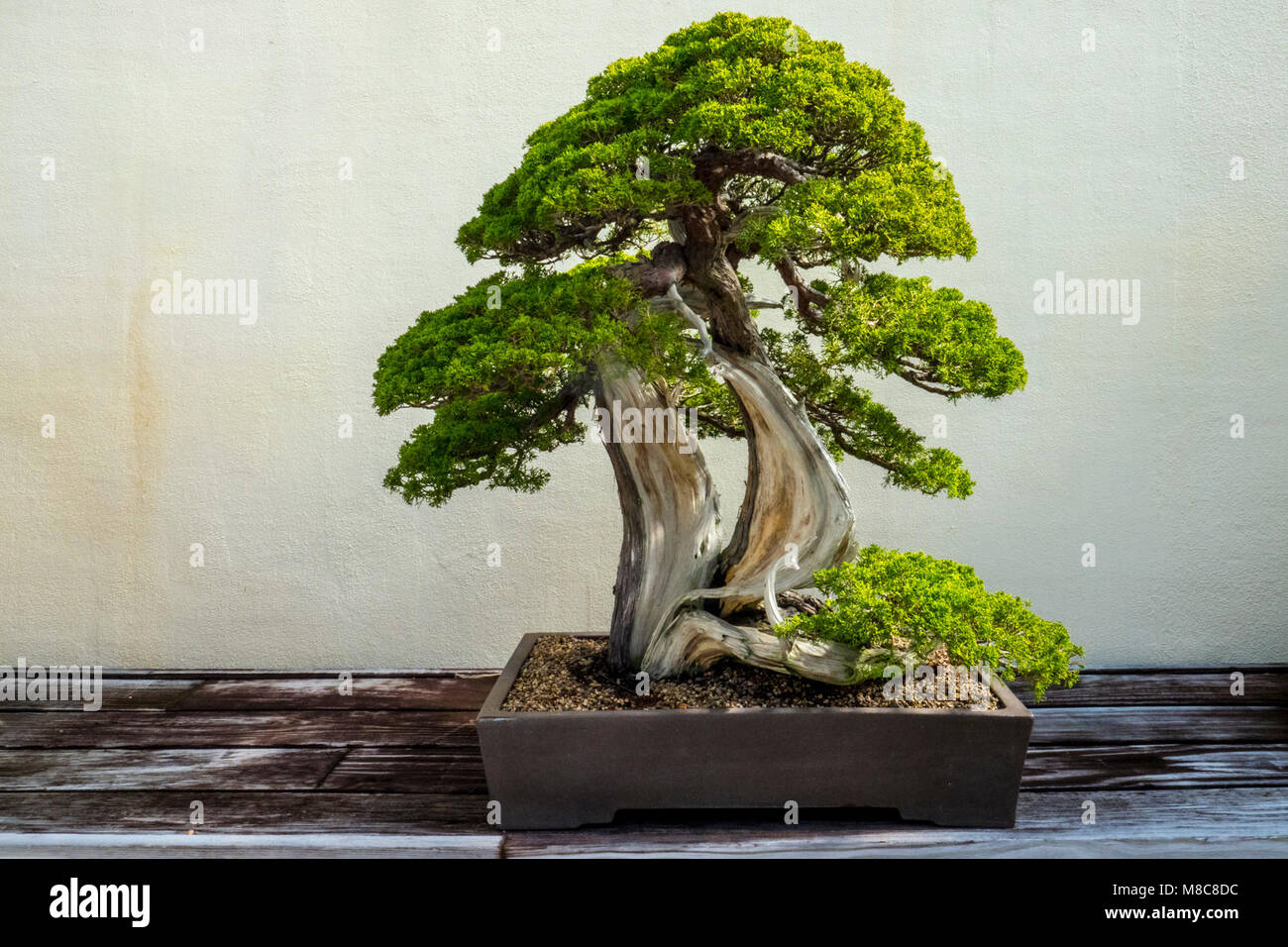Other key highlights hi-res stock photography and images - Alamy
