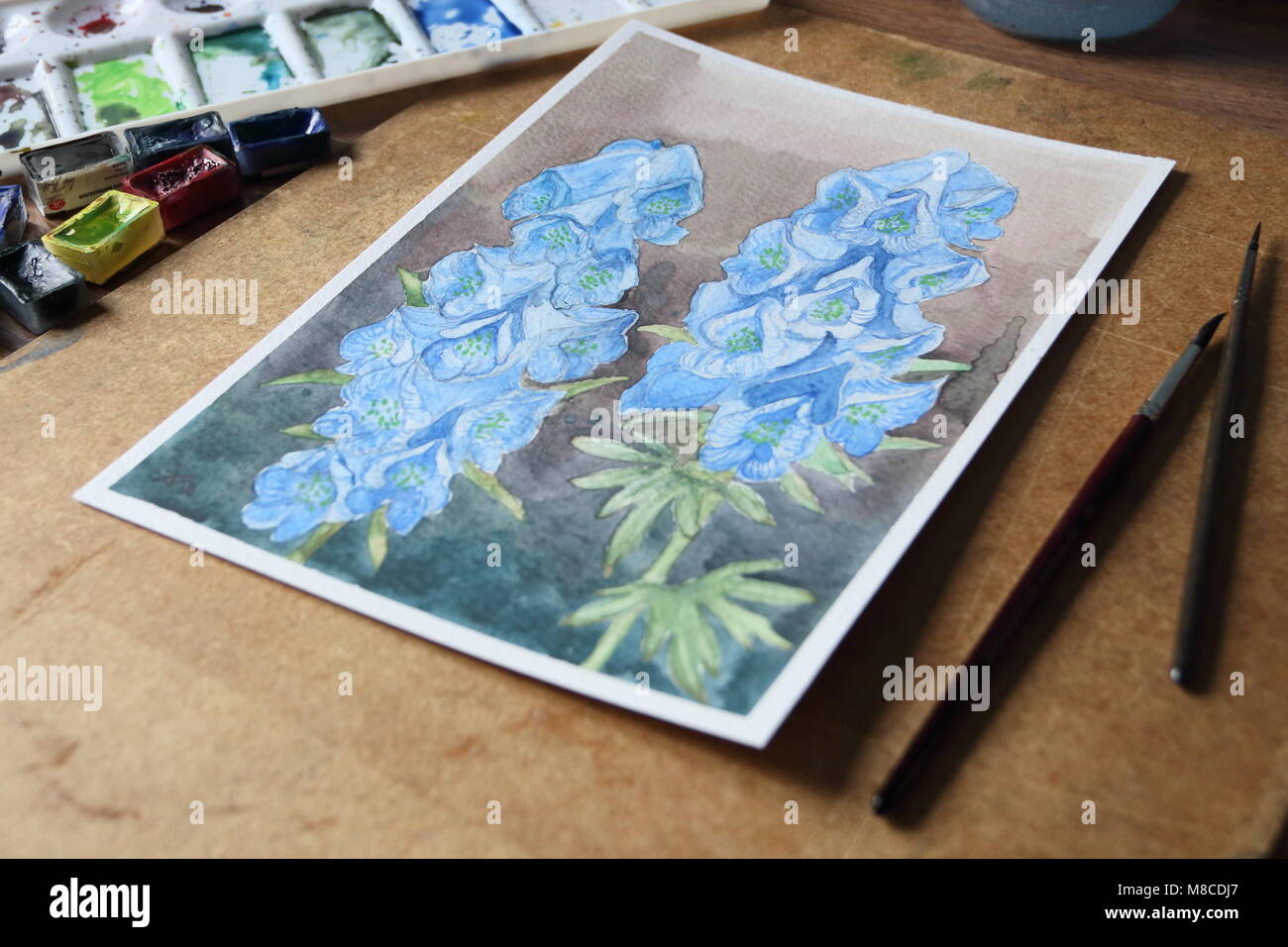 Carmichael flowers watercolor painting Stock Photo