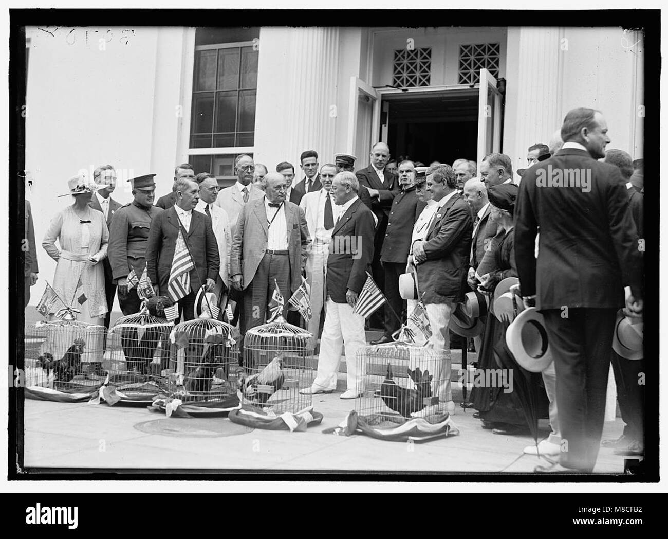 ALABAMANS. ROOSTERS BEING PRESENTED TO ALABAMA CITIZENS AT WHITE HOUSE. REP. EDWARD BERTON ALMON, 4TH FROM LEFT; J.H. BANKHEAD, LEFT OF WILSON, FRONT; WILLIAM BROCKMAN BANKHEAD, RIGHT REAR; LCCN2016870287 Stock Photo