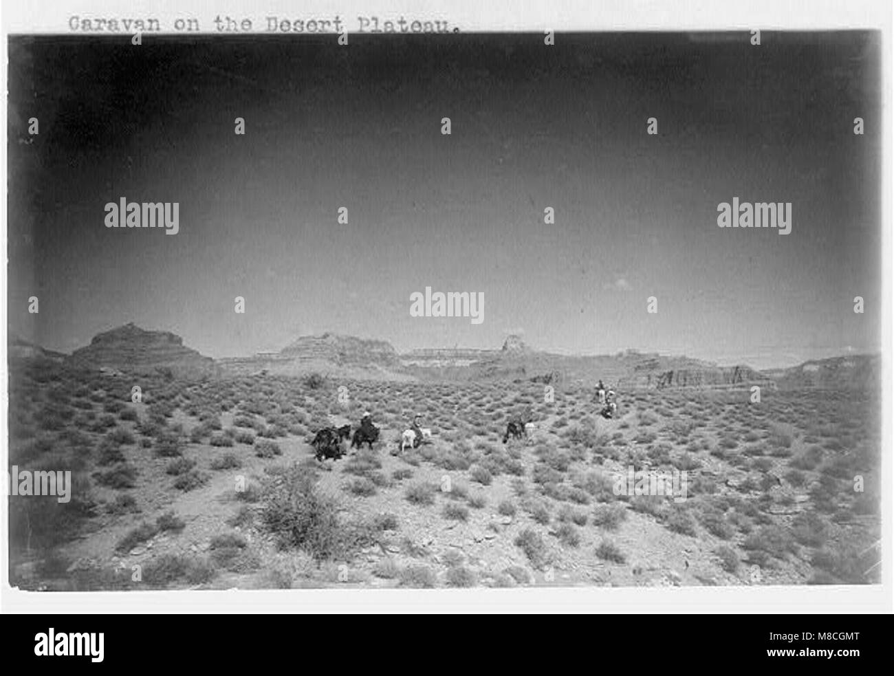 Grand Canyon and vicinity)- Caravan on the desert plateau LCCN2002718449 Stock Photo