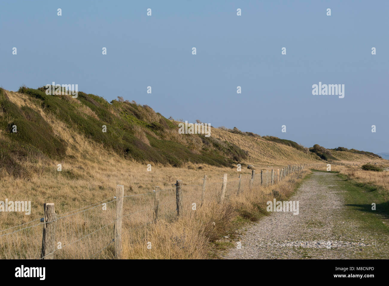 Skansevej on the southern tip of Sejrø with windblown shrubs and trees Stock Photo