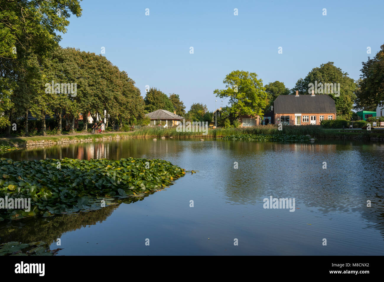 The village pond in Sejerby Stock Photo