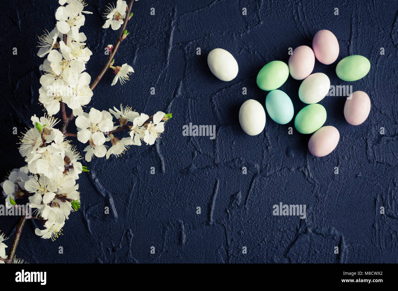 Easter chocolate eggs in pastel colors with branch of spring cherry ...