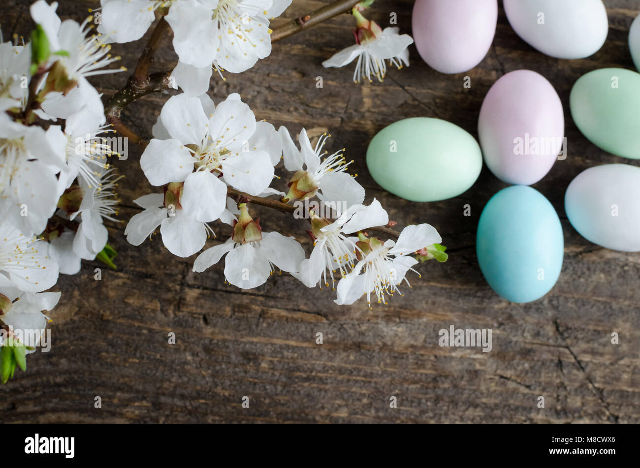 Easter chocolate eggs in pastel colors with spring cherry blossom on ...