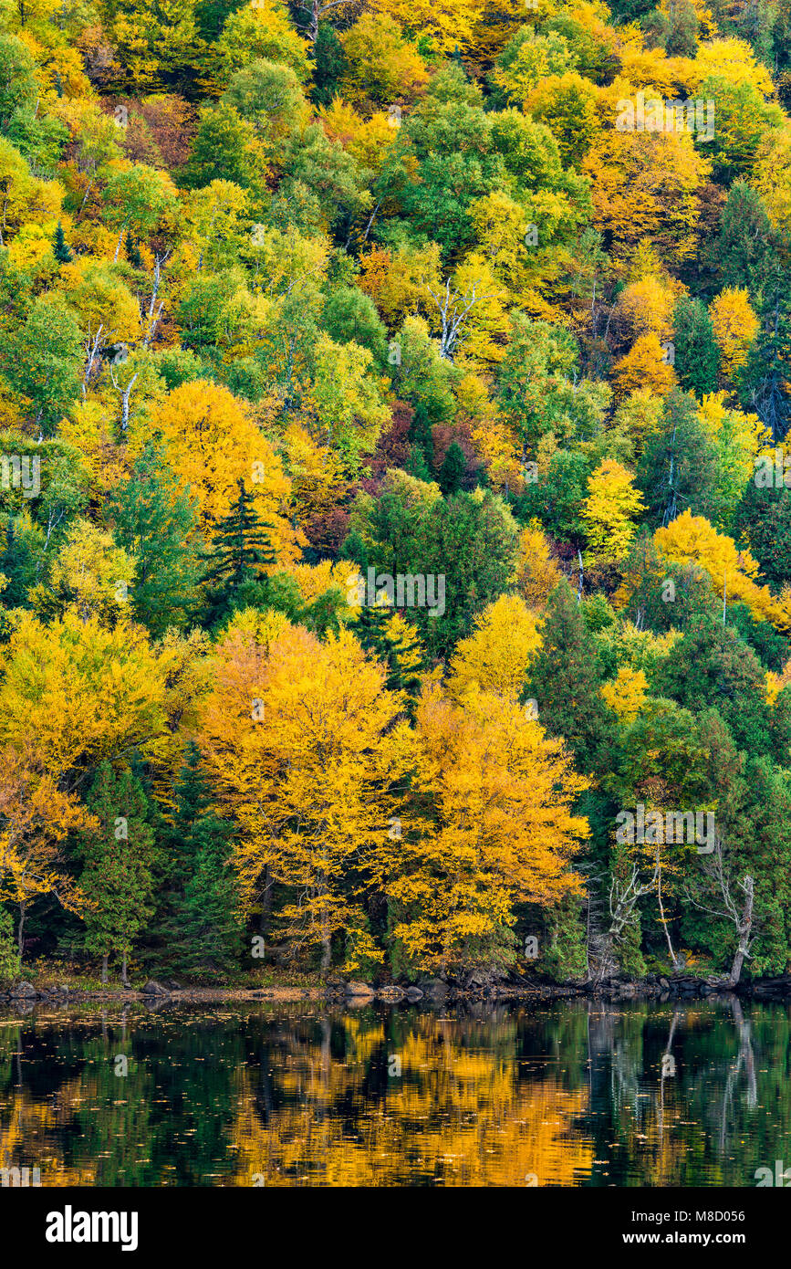 Upper Cascade Lake in the Adirondack Park High Peaks region, Essex County, New York Stock Photo