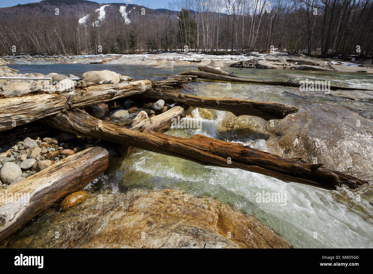Remnants of the old Crib Dam (also may have be known as the Diversion