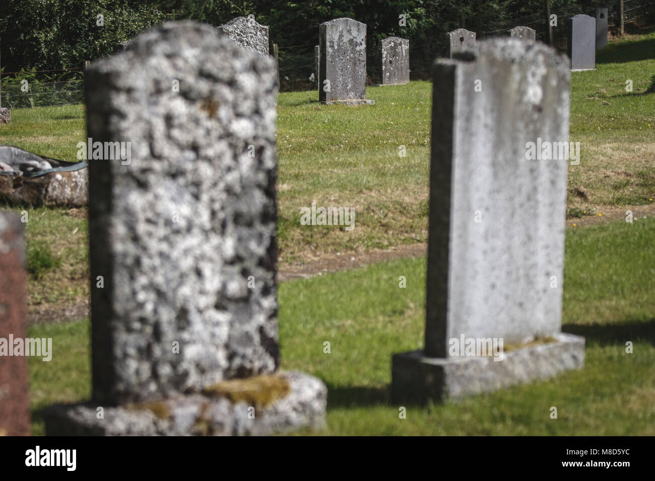 Grave stones in graveyard, Scotland, United Kingdom Stock Photo Alamy