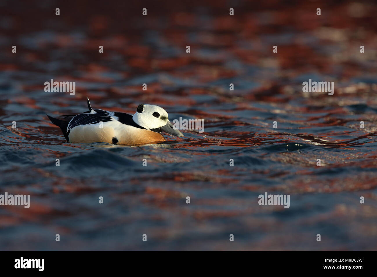 Zeehaven hi-res stock photography and images - Page 2 - Alamy