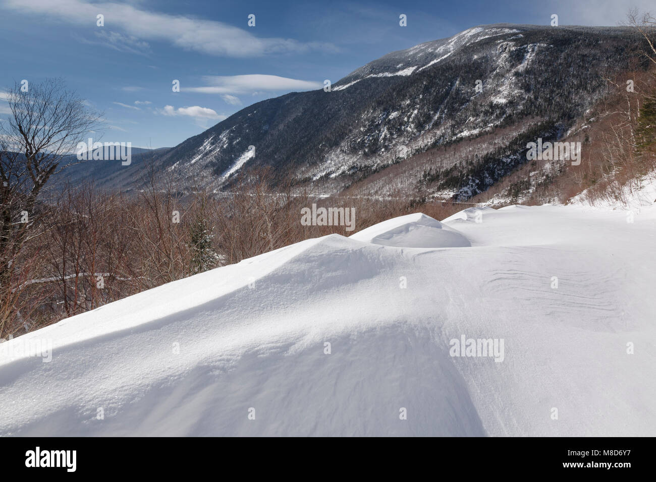 Crawford Notch State Park Willey Range from the Maine Central