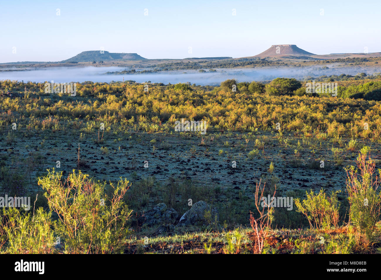Idyllic landscape of Cuchilla del Ombu, hills in Tacuarembo, north-central Uruguay Stock Photo
