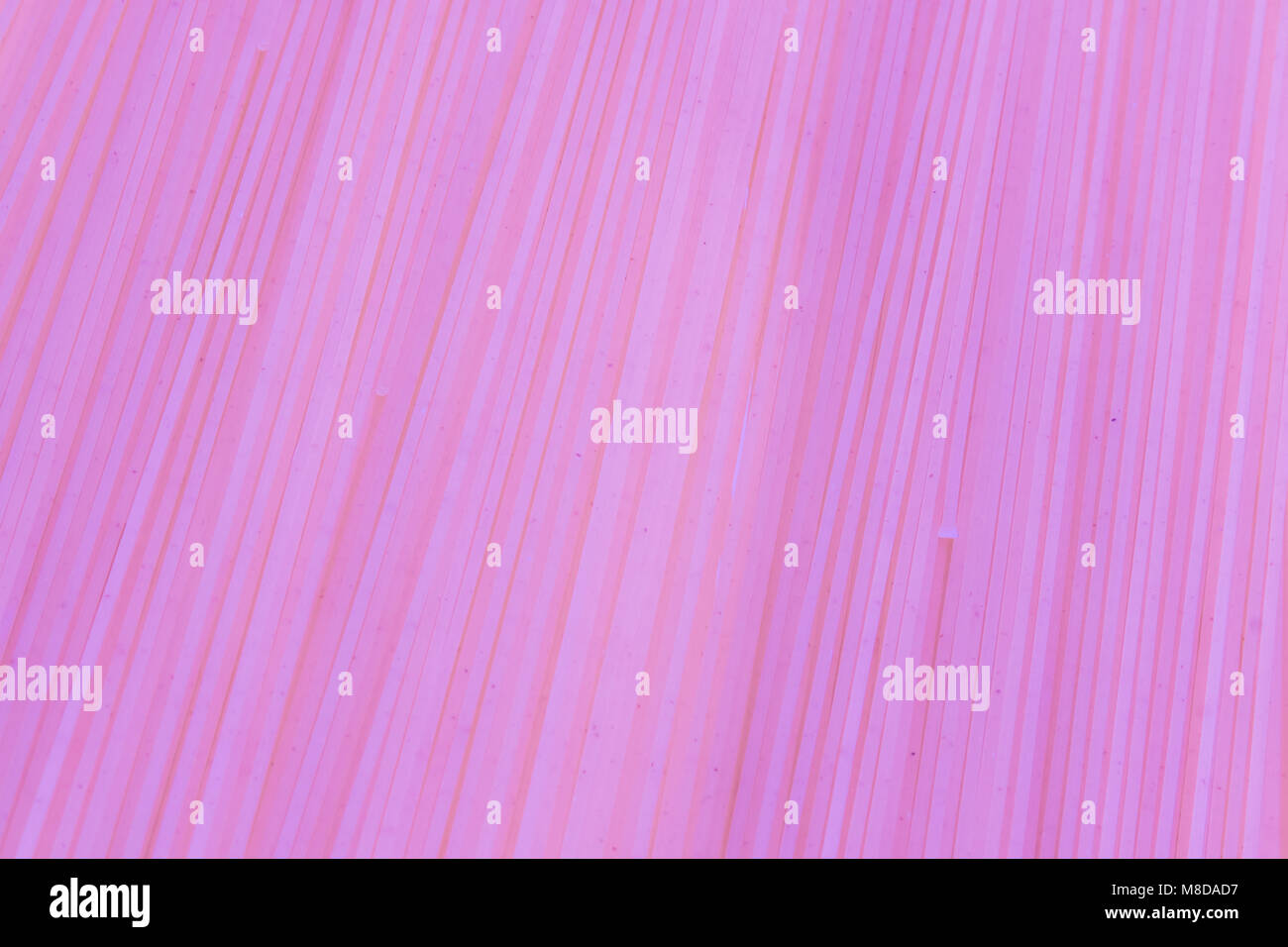 Pink raw spaghetti line background, Stock Photo