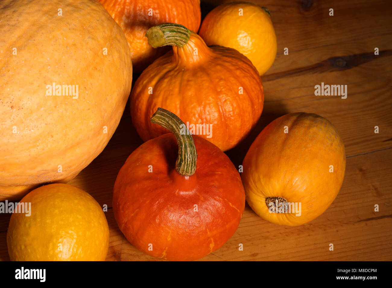 Beautiful different pumpkins lie on the wooden floor. Stock Photo