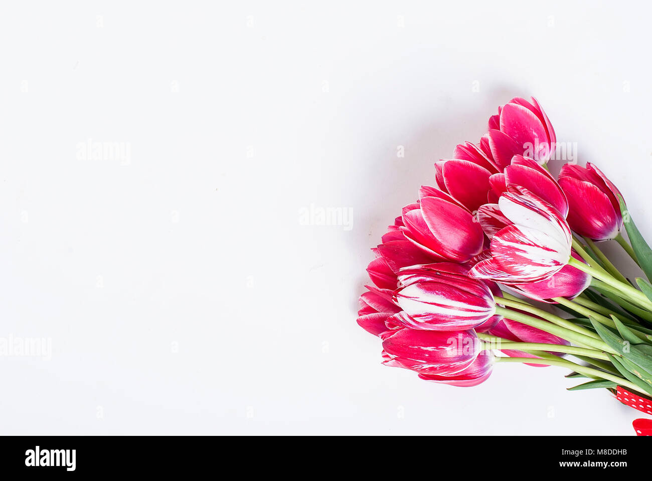 A bouquet of pink tulips on a white table, top view. Copy space Stock ...