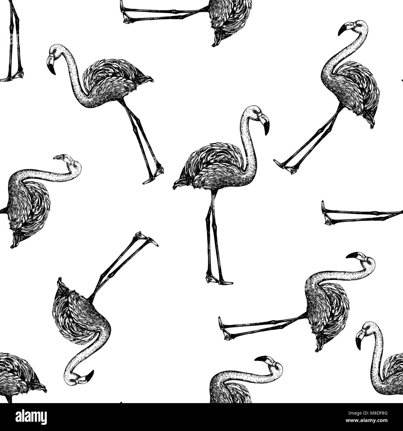 Seamless pattern of hand drawn sketch style flamingo. Vector ...
