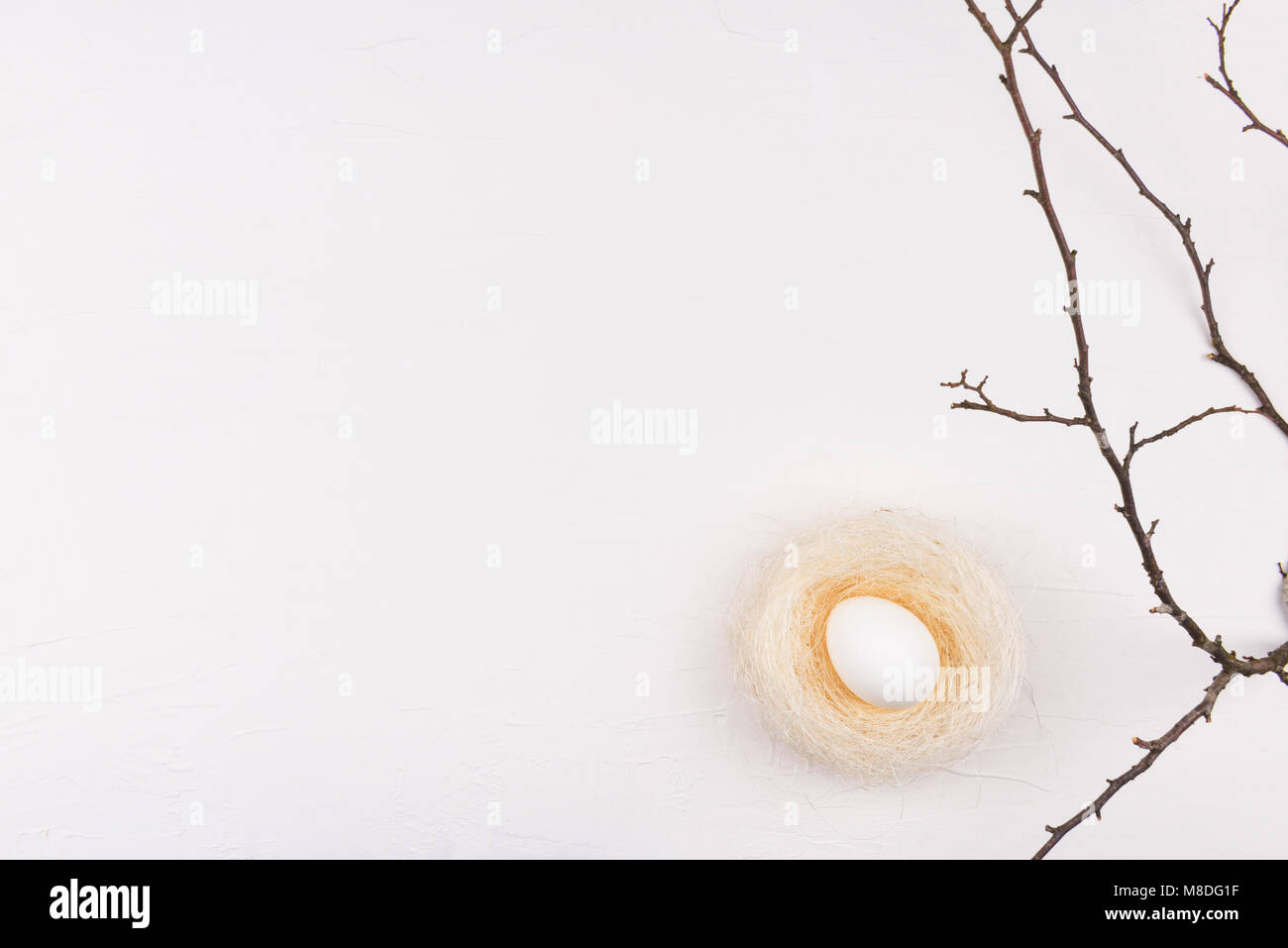 White chicken egg in nest and branch isolated on white background with ...