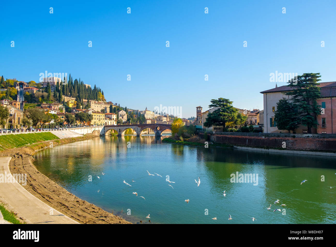 City of Verona with Adige river at sunny day. Italy Stock Photo - Alamy