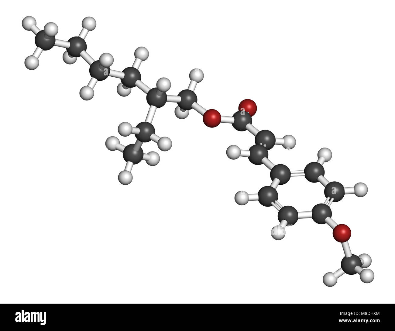methoxycinnamate in sunscreen