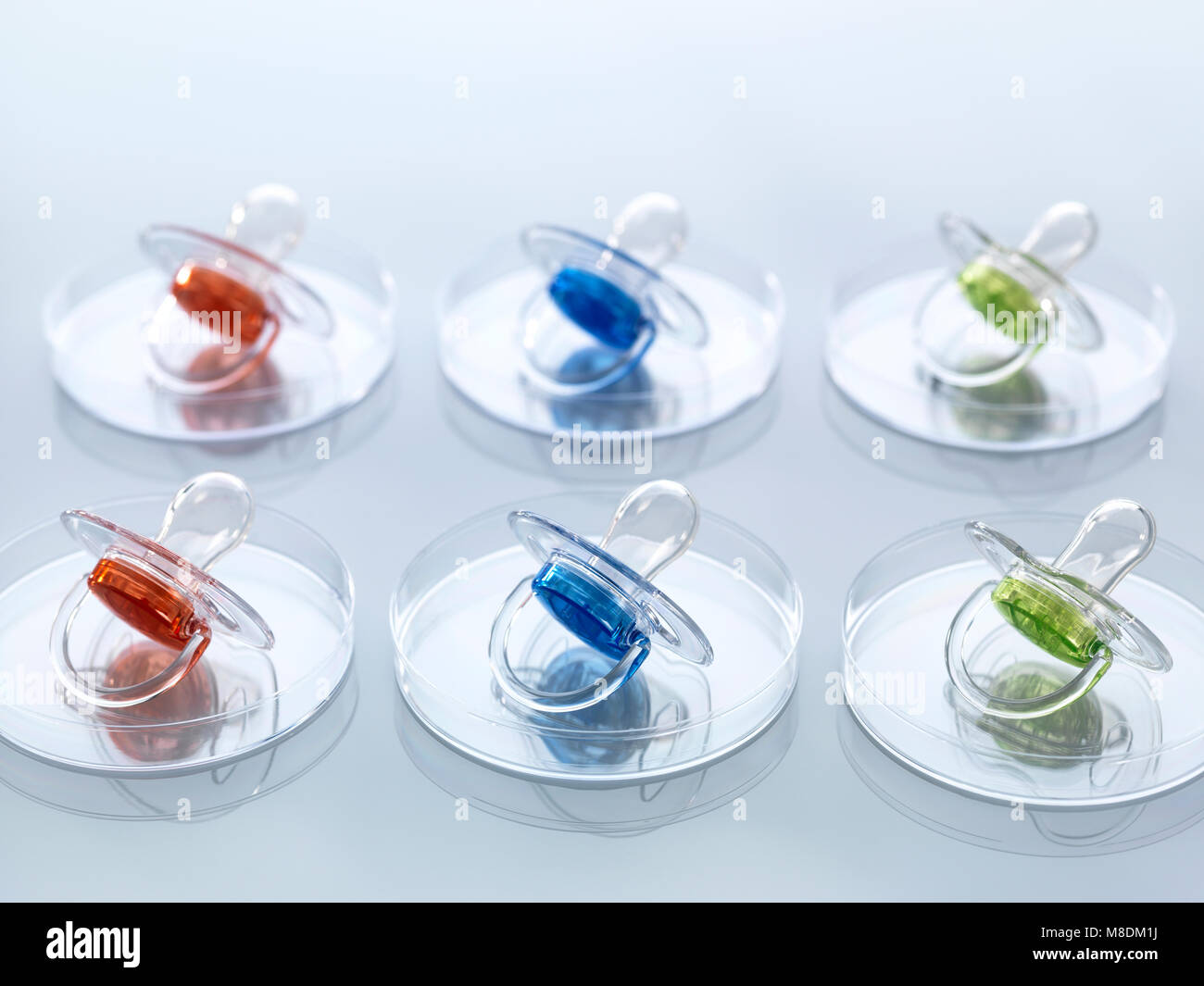 Scientific Cloning, A series of modified babies illustrated by baby soothers in petri dishes Stock Photo