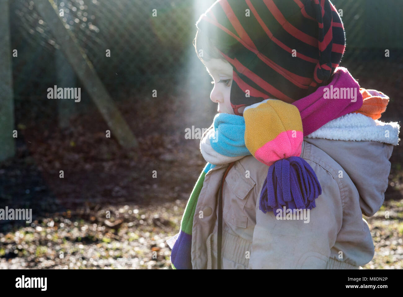 Male toddler in knit hat and scarf looking down in park Stock Photo