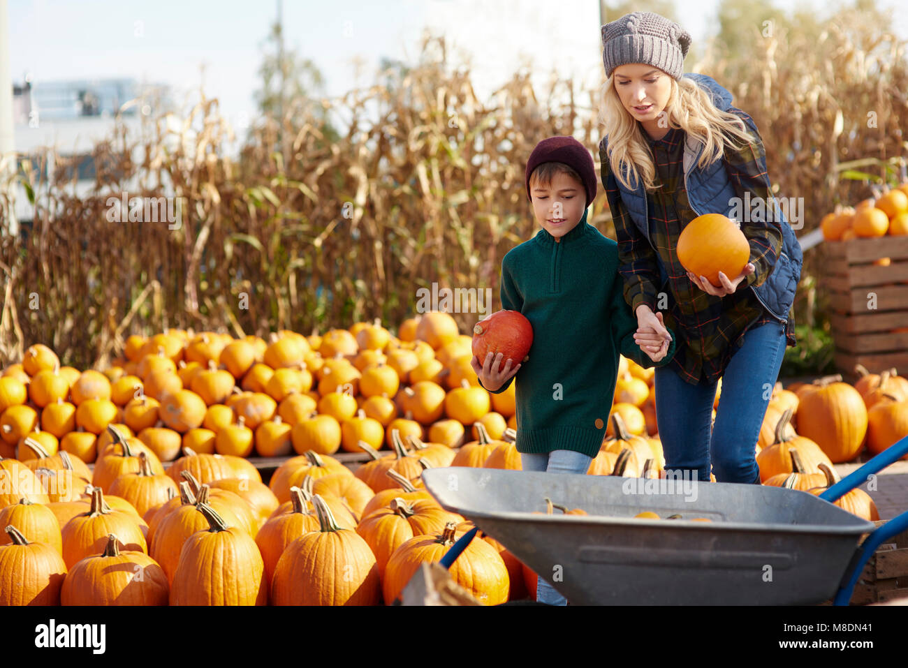 Young woman and son selecting pumpkins for wheelbarrow at pumpkin patch Stock Photo